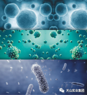 3044am永利集团事业集团