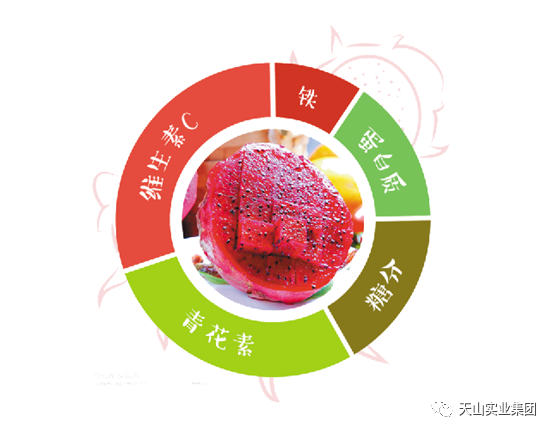 3044am永利集团事业集团